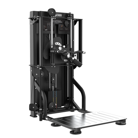 TOORX Bizeps-/Trizepsmaschine stehend PLX-9040