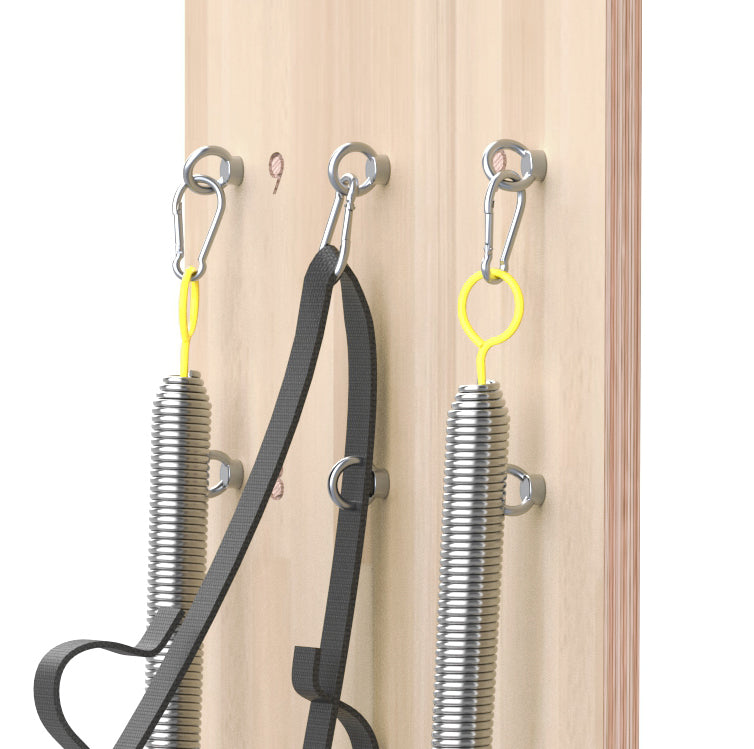TOORX Liveness Spring Wall PTX-2000 Eichenholz (Wandeinheit)