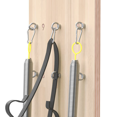 TOORX Liveness Spring Wall PTX-2000 Eichenholz (Wandeinheit)