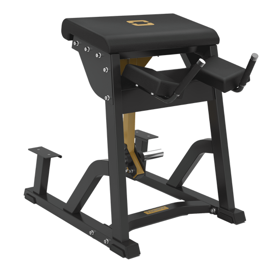 TOORX Reverse Hyperextension FWX-10600