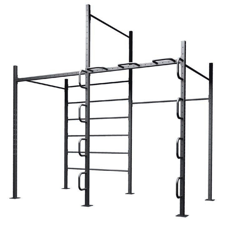 TOORX Calisthenics-Station 2 G60-C2