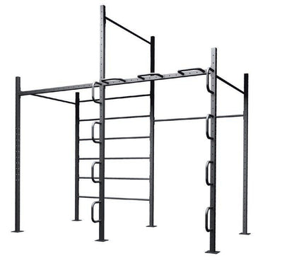 TOORX Calisthenics-Station 2 G60-C2